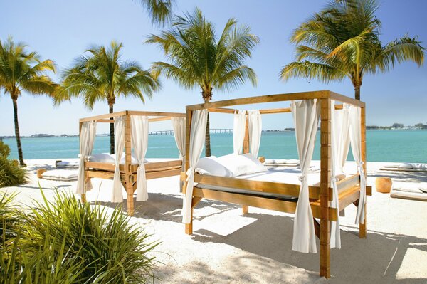 Słoneczna plaża z łóżkami pod palmami