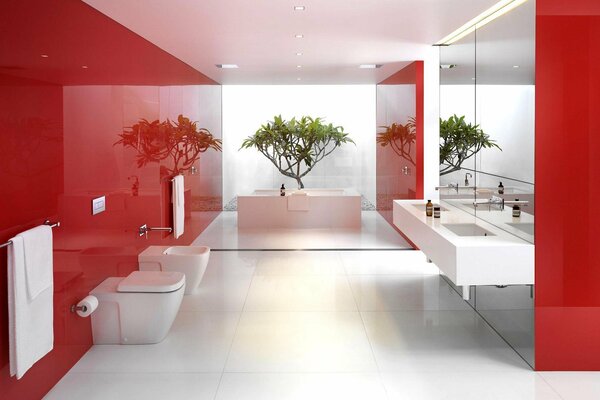 Cuarto de baño con pared roja