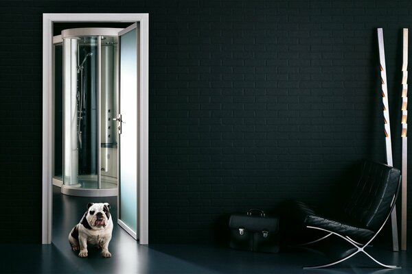 Собачка в стильном интерьере ванной