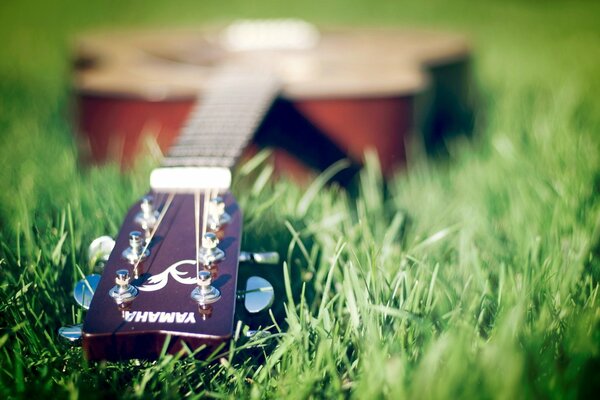 La chitarra giace sull erba verde. Serenità e musica