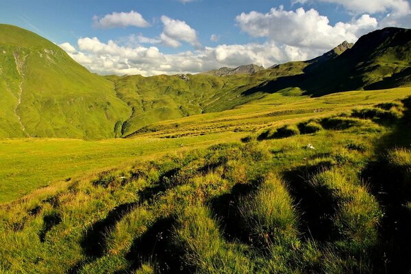 Green grass in the cloud hills