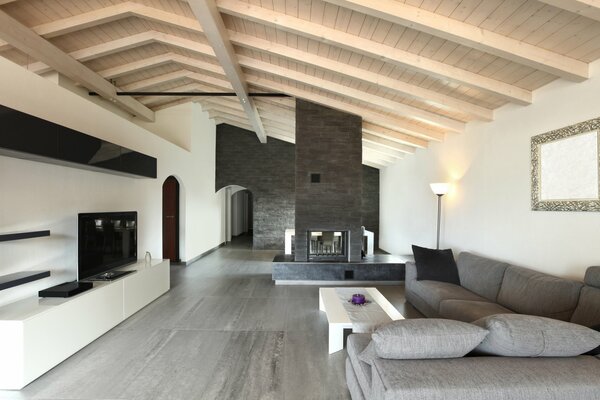 A living room with a stylish interior, with a gray sofa and a fireplace