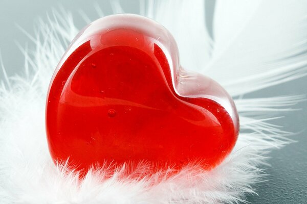 Coeur rouge sur une plume blanche