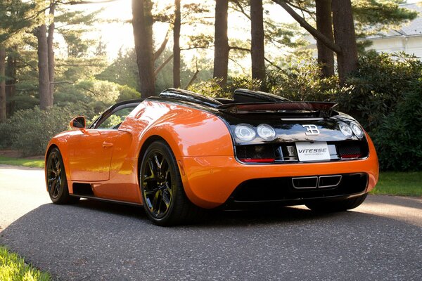 Bugatti deporte naranja, negro en el fondo del bosque