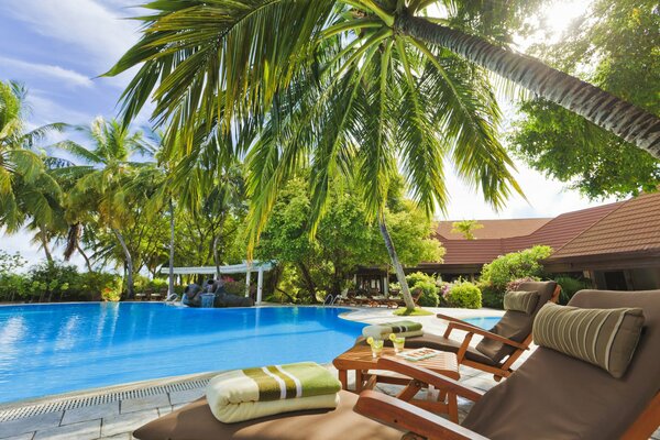 Sun loungers and a table by the pool at the hotel