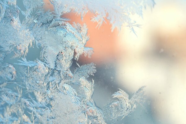 Patrón de escarcha de invierno en la ventana