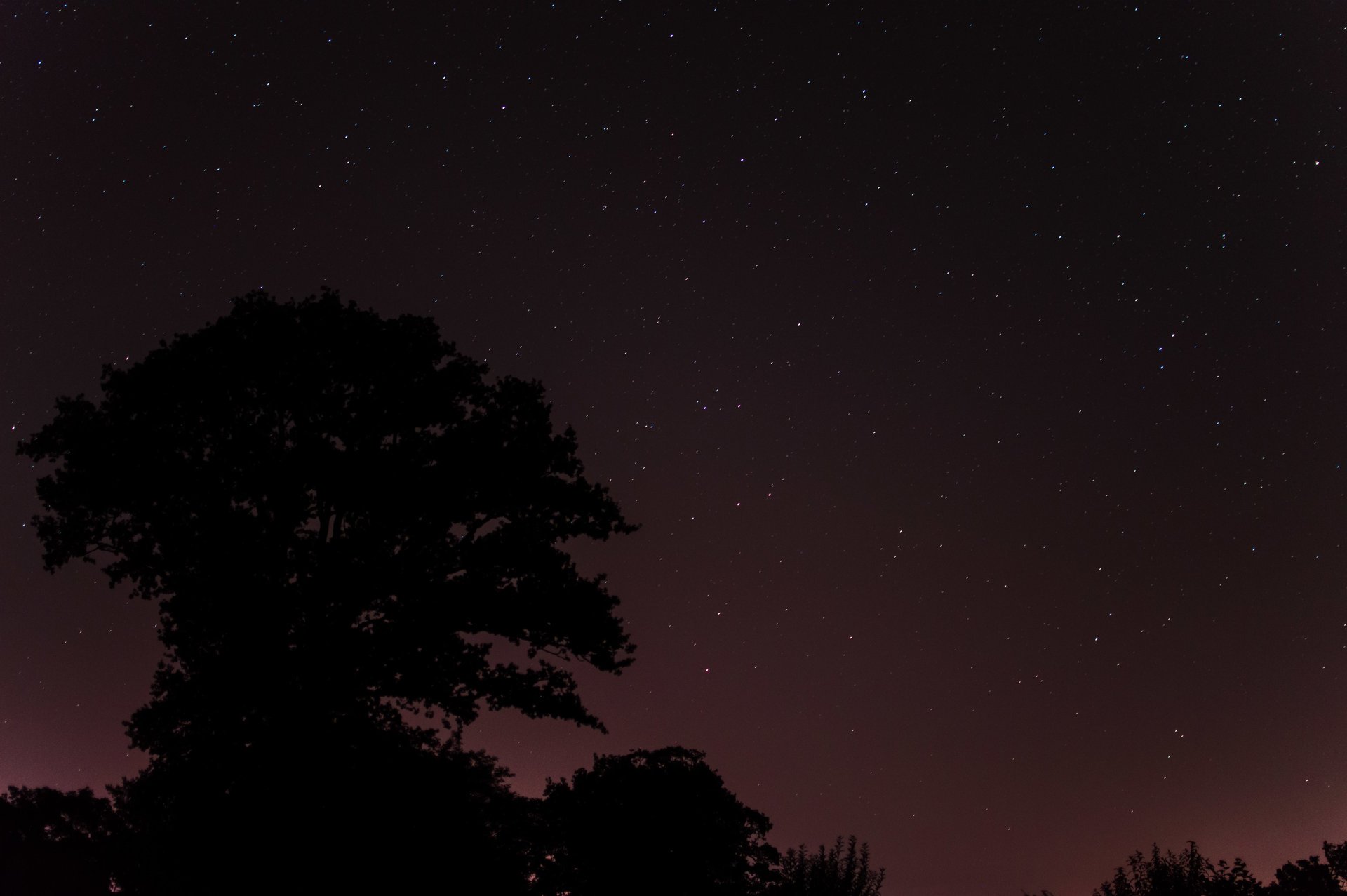 espacio estrellas noche árboles