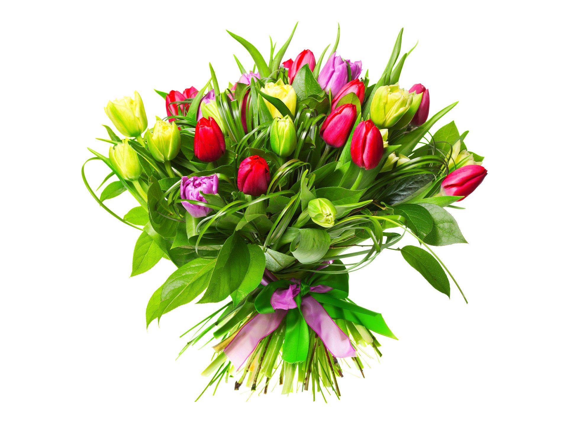 bouquet fleurs tulipes bourgeons ruban