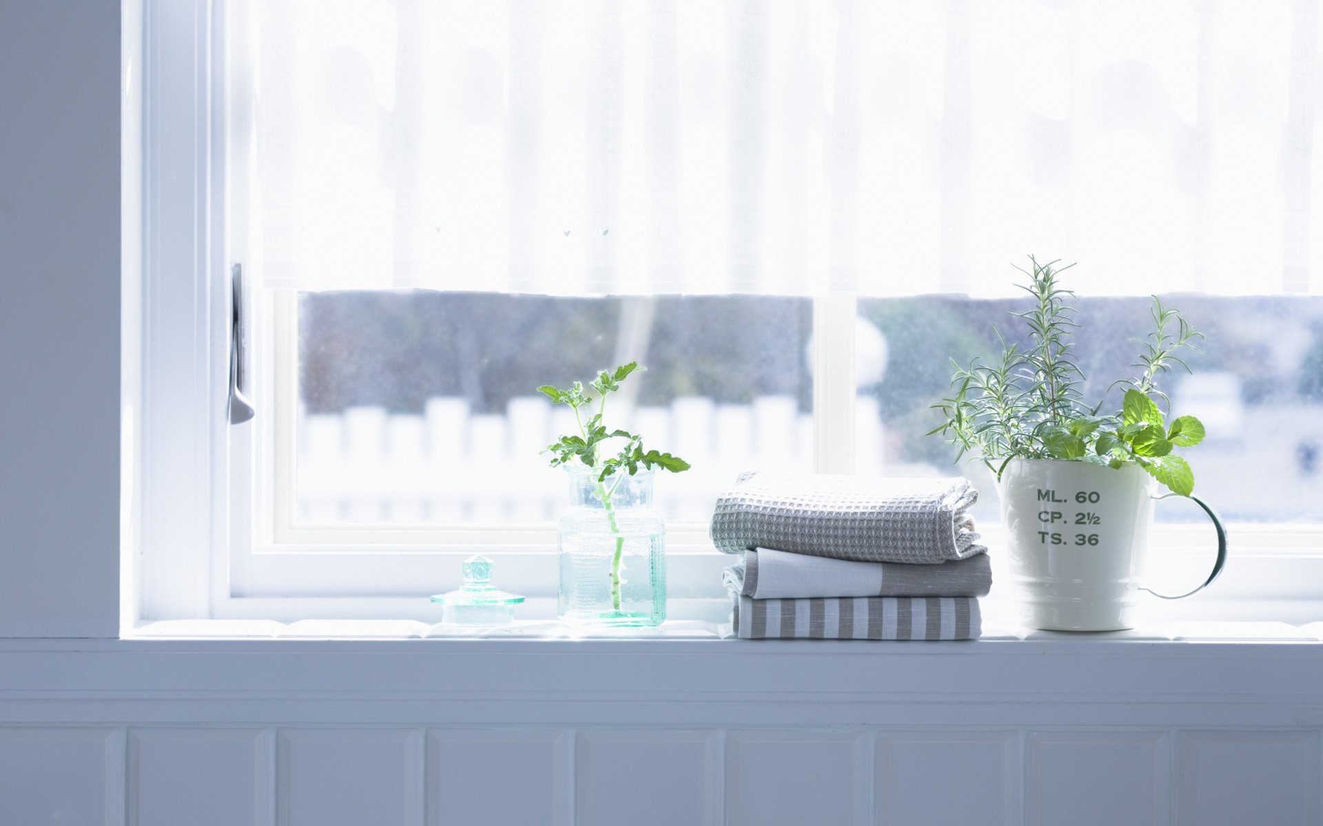 interior room apartment towel plants flower window