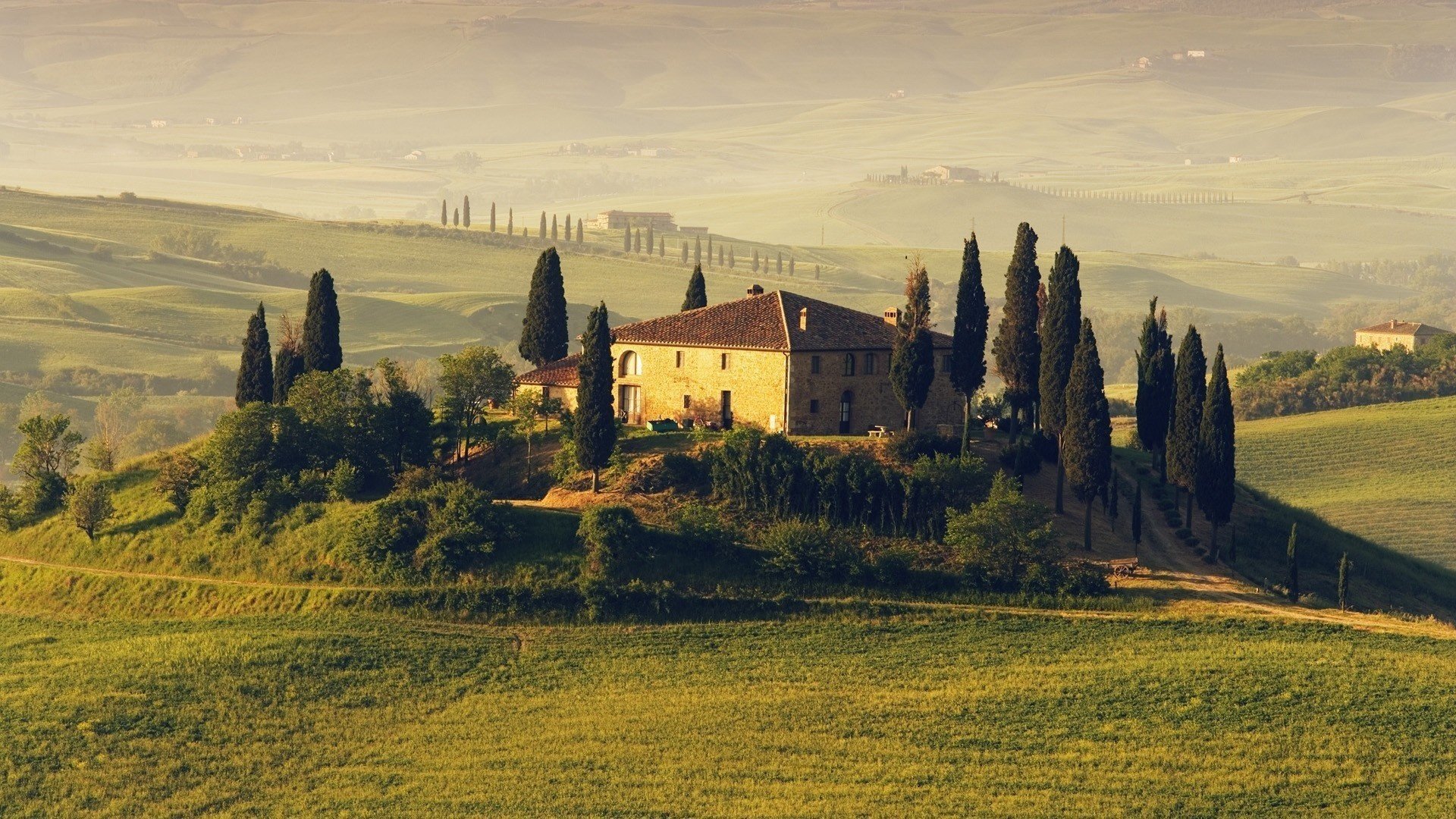 таскания италия деревья дом поля italy