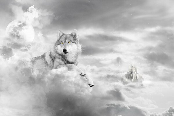 Grande lupo su uno sfondo di nuvole