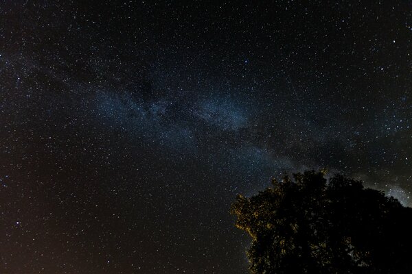 Stelle notte Via Lattea