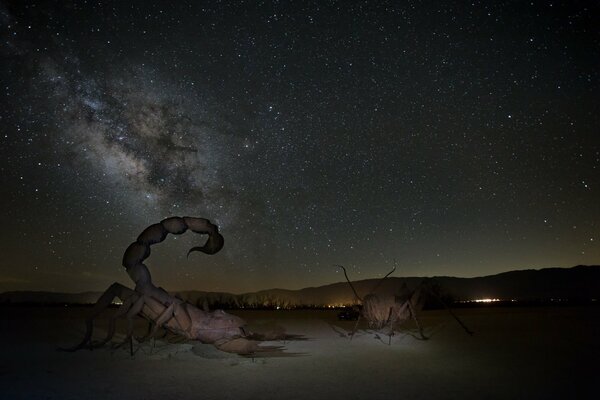 Scopions in the desert against the background of the Milky Way