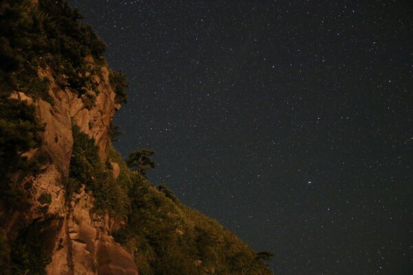 Naturaleza nocturna con cielo estrellado