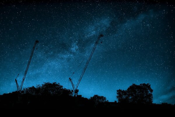 The Milky Way is beautiful against the background of trees and cranes