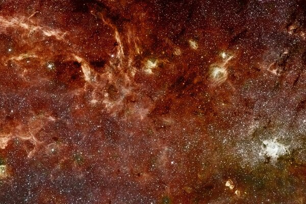 Une photo fascinante de la voie lactée