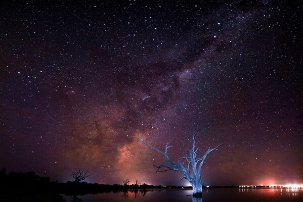 Einsamer Baum vor dem Hintergrund einer kosmischen Landschaft