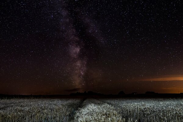 La Via Lattea viene visualizzata sul campo