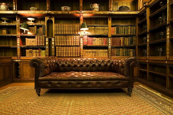 A luxurious sofa in a chic library