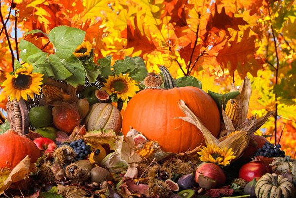 Jesienna Martwa natura warzyw na święto Wszystkich Świętych