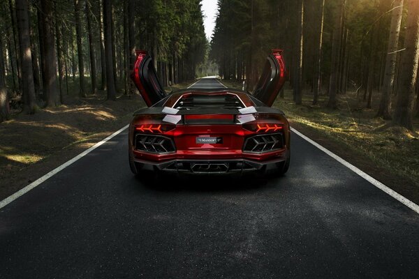 Red Lamborghini Aventador on the highway in the woods