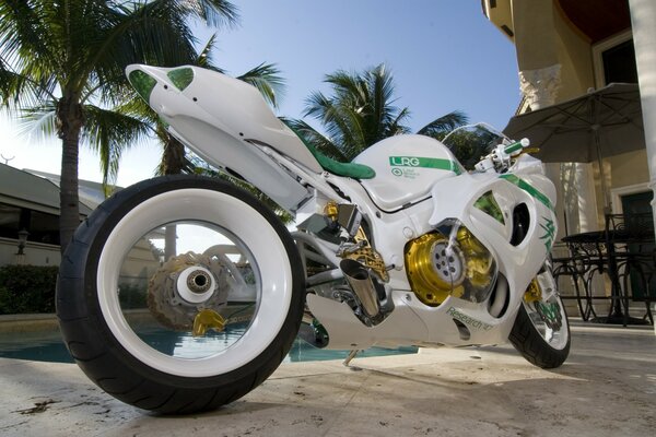 A white bike stands in the courtyard by the pool next to palm trees