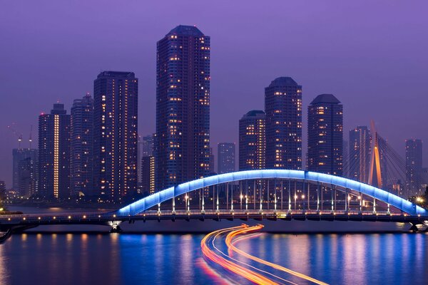 Gratte-ciel dans la métropole de Tokyo dans la nuit