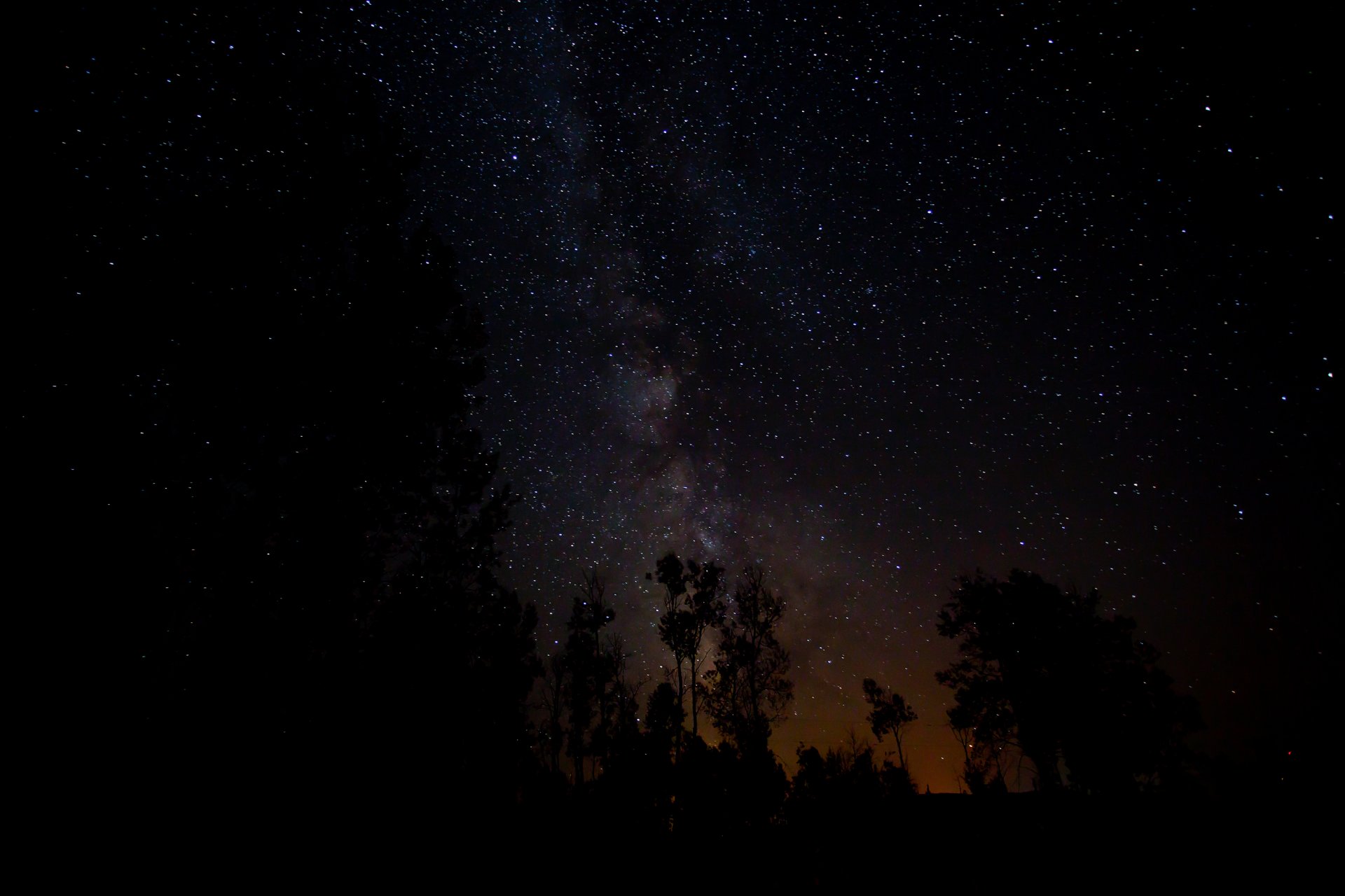 espace étoiles nuit espace voie lactée arbres