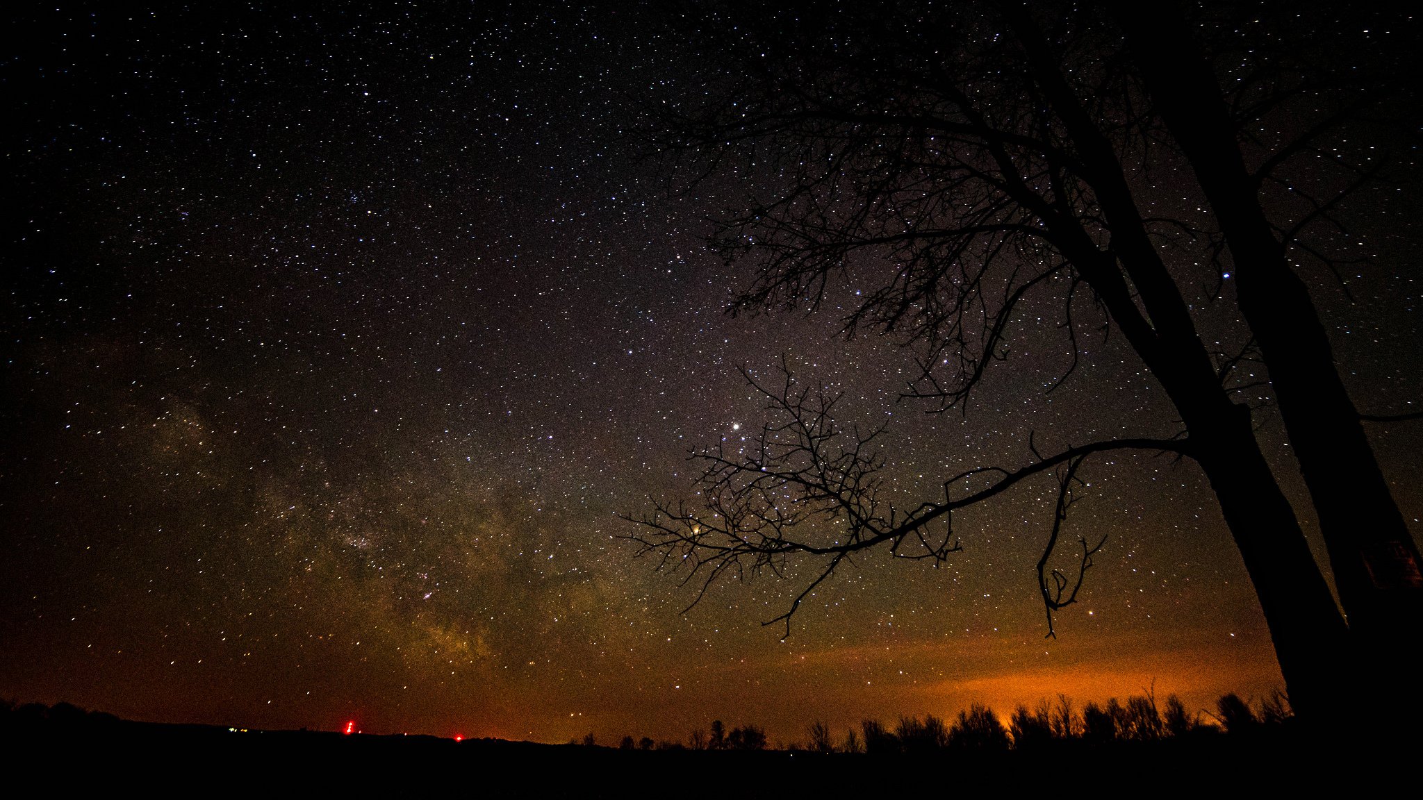 espace étoiles nuit espace voie lactée arbres silhouettes