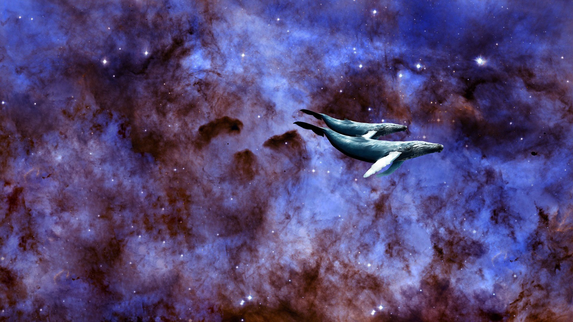 pace space universe galaxy stars whale