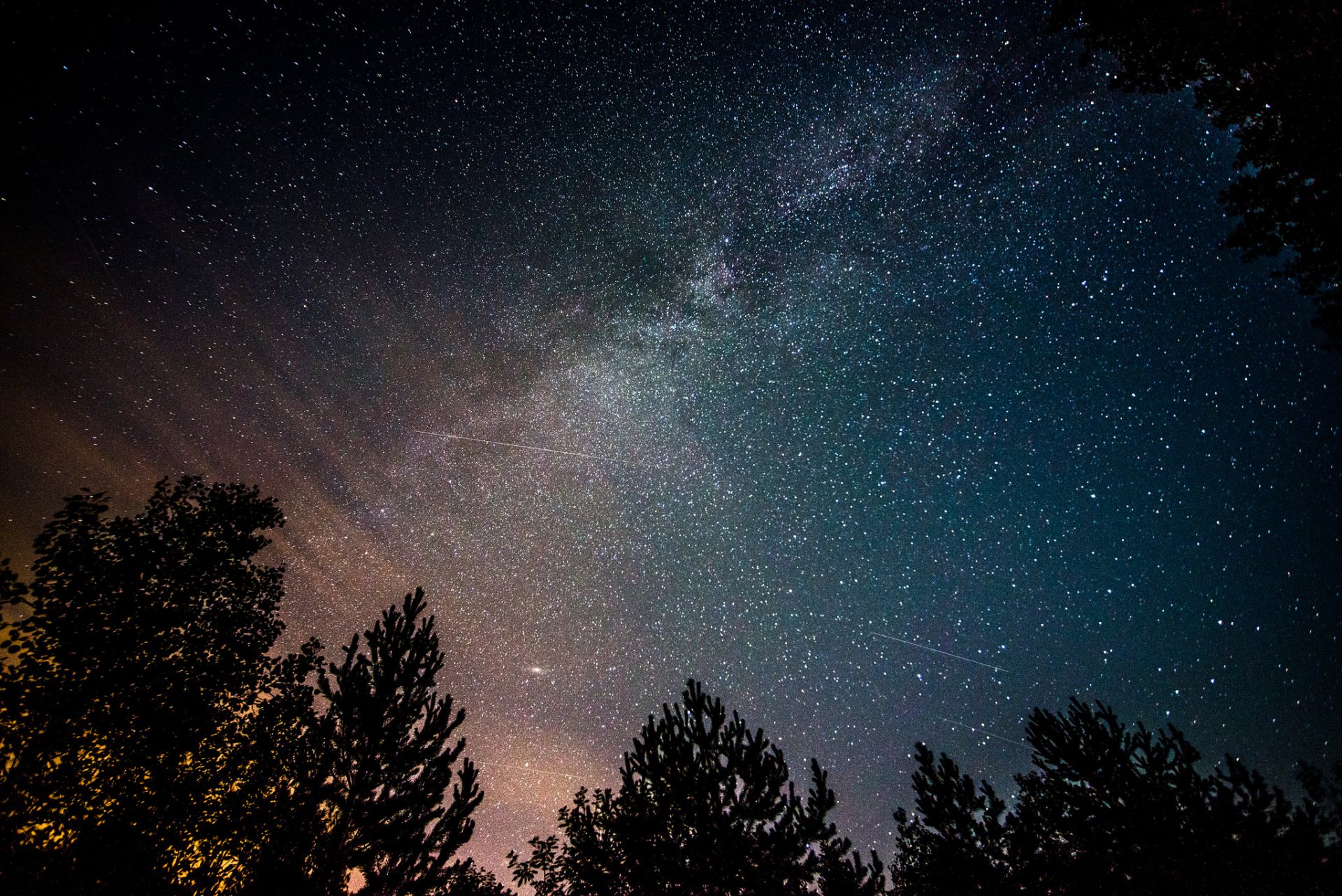 spazio stelle via lattea notte alberi