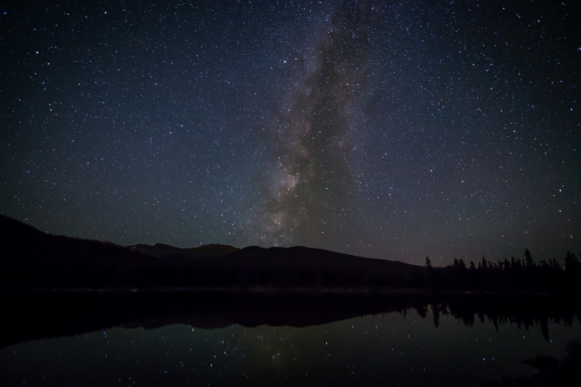 spazio stelle via lattea notte alberi