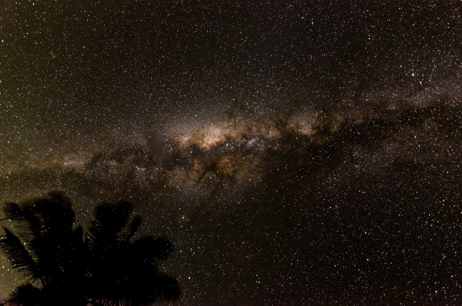 spazio stelle notte spazio via lattea palma silhouette