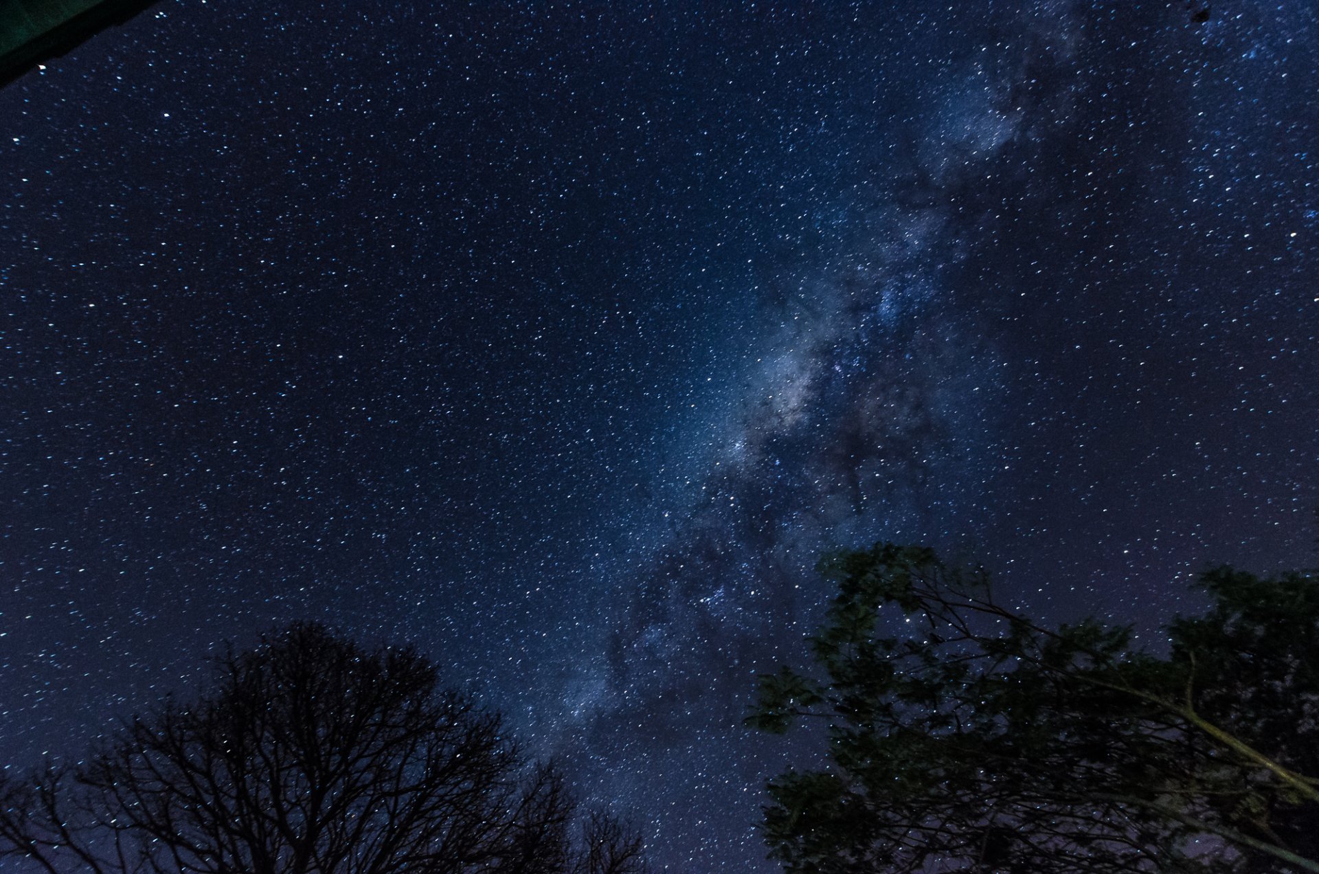 espacio estrellas noche espacio vía láctea árboles siluetas