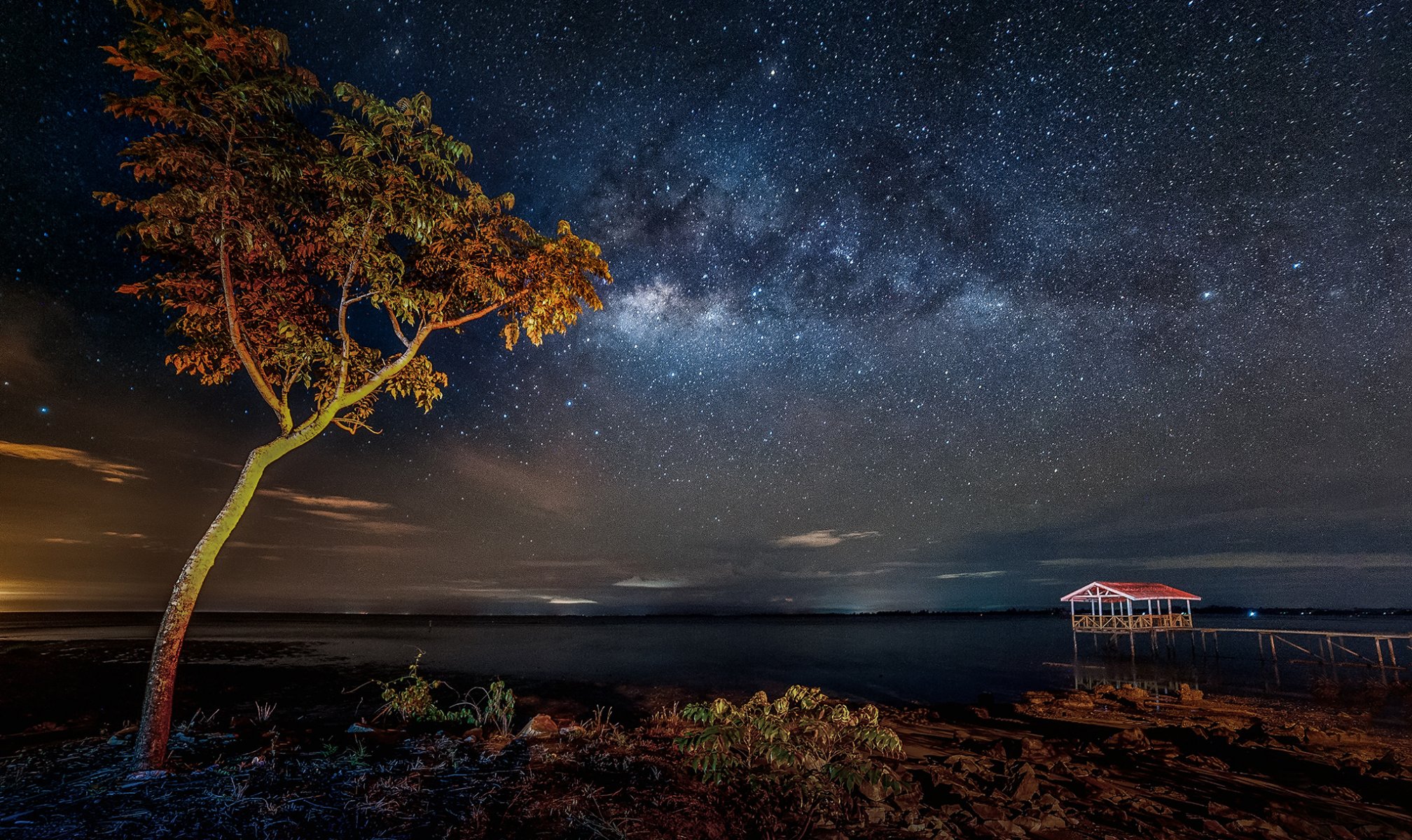 voie lactée jetée lac arbre étoiles mystères