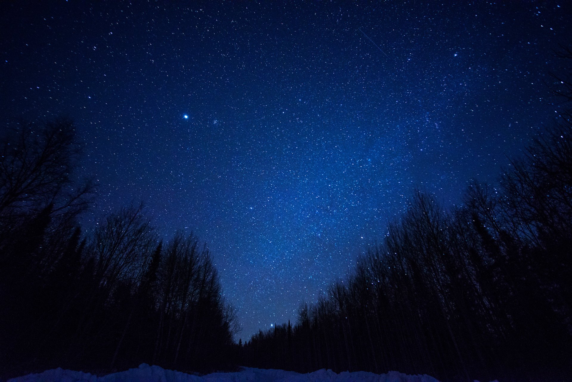 cosmos stars night space milky way trees silhouette