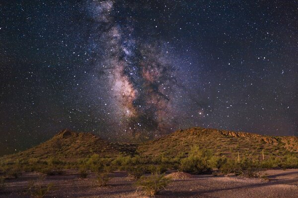 La vía láctea es visible desde detrás de una colina cubierta de árboles