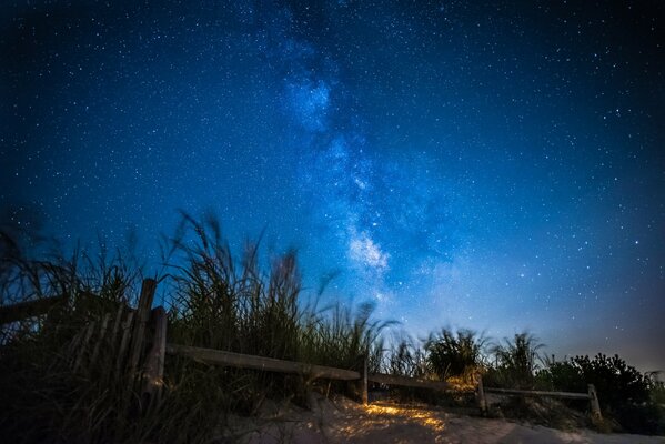 Fence and grass on the background of the evening sky