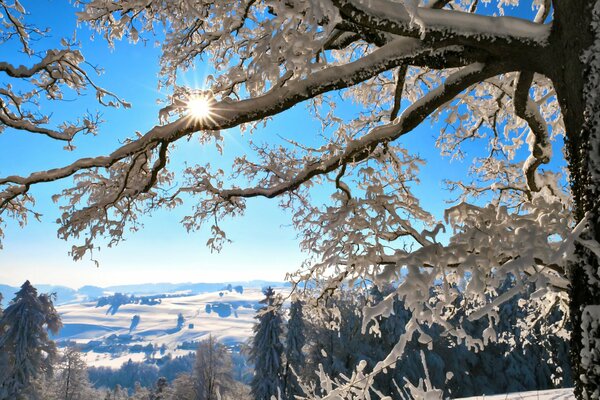 Hiver Suisse ensoleillé et neigeux