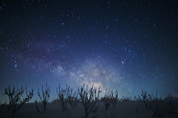 Cielo estrellado mágico en una noche de invierno