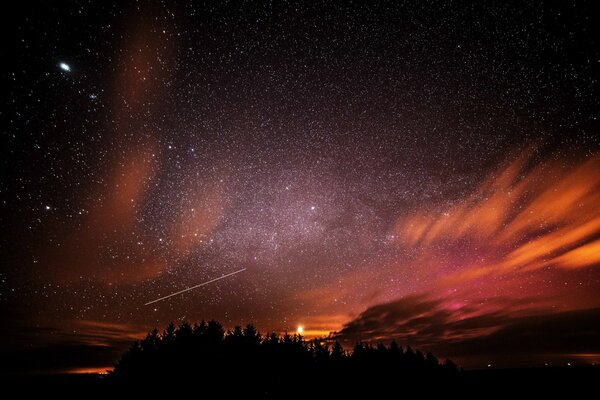 Night sky with stars and silhouettes of trees