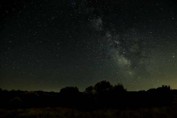 Cielo stellato notturno, orizzonte scuro