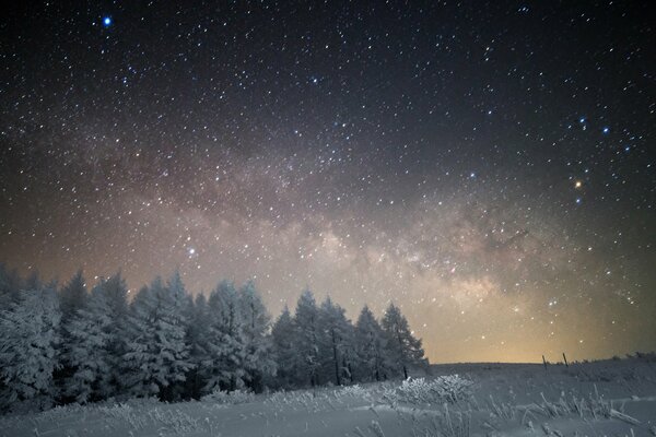 Vista invernal de la vía láctea en el bosque nevado