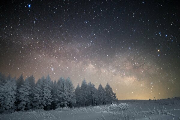 Vista invernale della Via Lattea nella foresta innevata