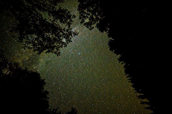 Night starry sky in clear weather