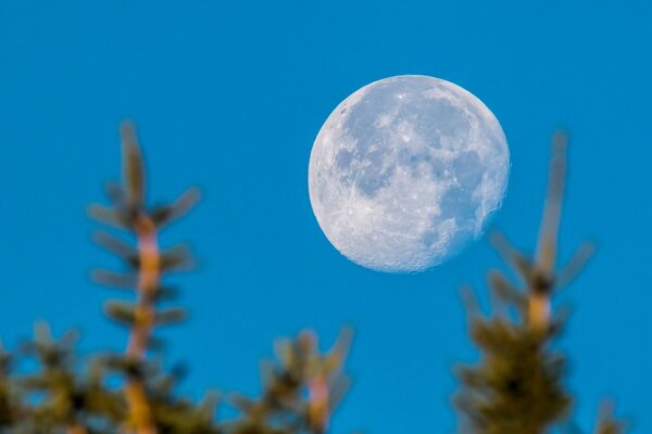 Der Planet scheint der Mond und der Himmel ist sichtbar