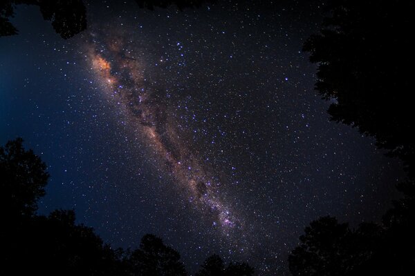 Impresionante vista de la vía láctea en el cielo nocturno