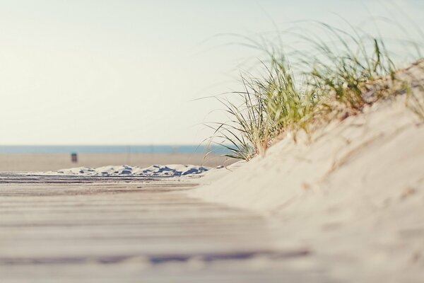 Sandstrand am Meer mit Gras