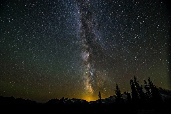 Sagome di alberi in montagna sullo sfondo della bella Via Lattea