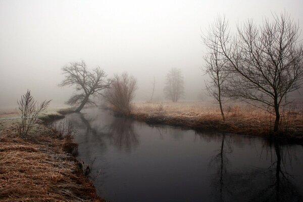 Nebbia sul fiume late oséniu